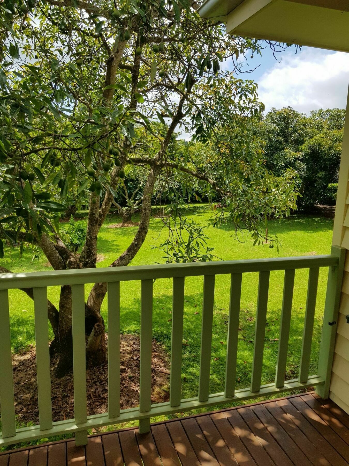 Camelot Boutique Accommodation Mount Tamborine Dış mekan fotoğraf