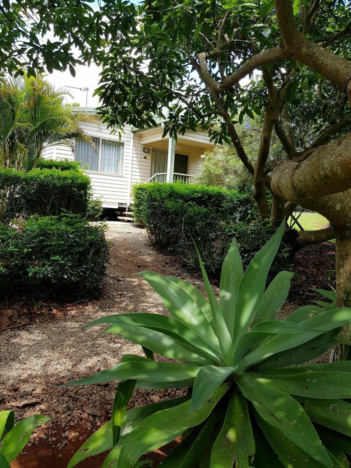 Camelot Boutique Accommodation Mount Tamborine Dış mekan fotoğraf